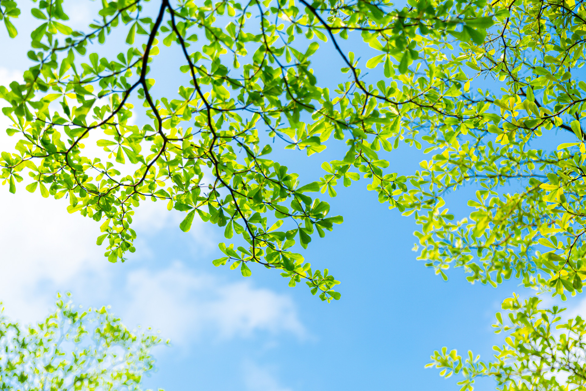 “逃離”炎熱夏日,您需要一扇隔熱節能的好門窗!