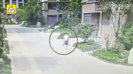 1620465818806501.gif 微信圖片_20210508172050.gif