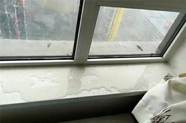 1625048649924752.jpg 微信圖片_20210630182024.jpg